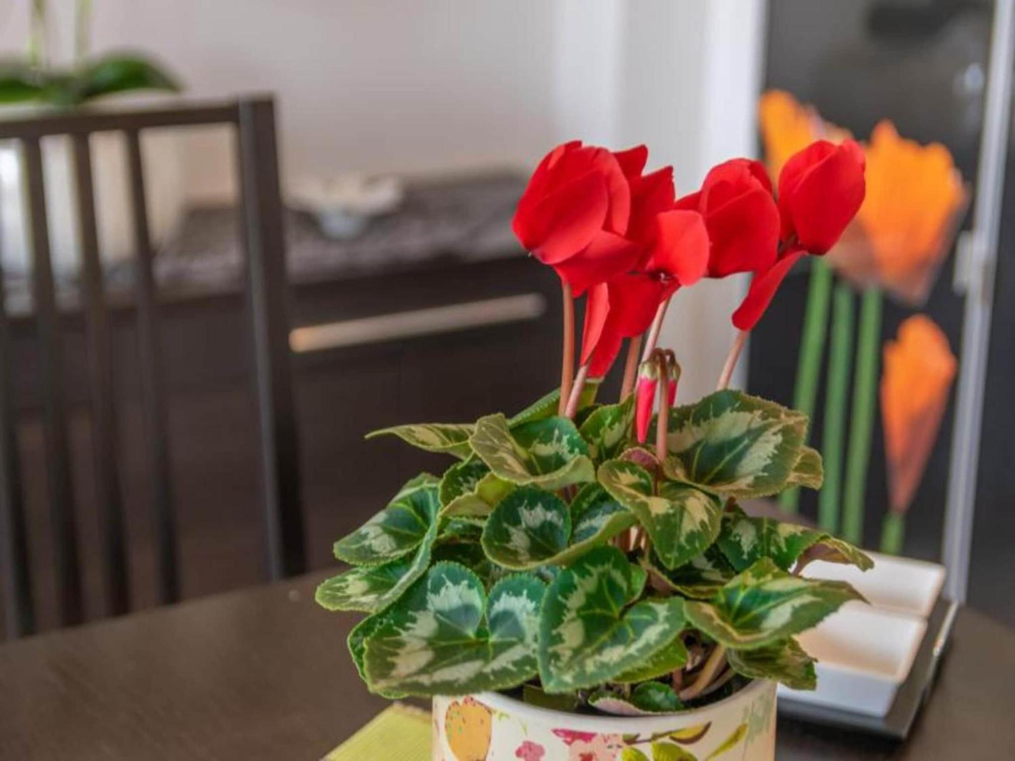 Holiday home Casa Pilar - In Free Wifi